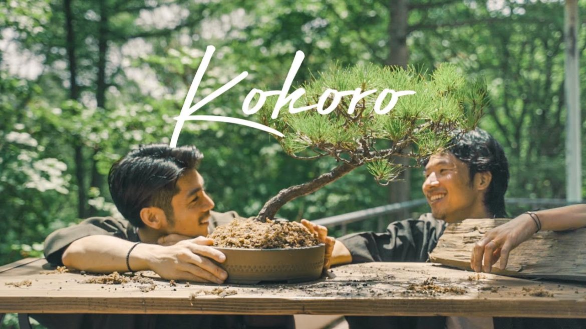 BONSAI TREE experience at home. 心 "贈り物の盆栽を眺めながら" スイカがとびきり美味しい季節　【Kokoro -心-】